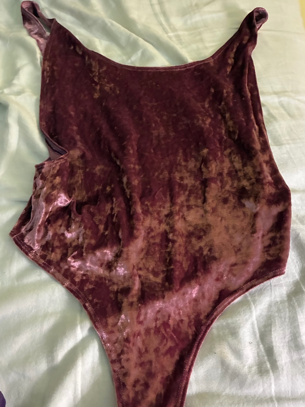 Magenta Mauve Velvet Leotard Bodysuit